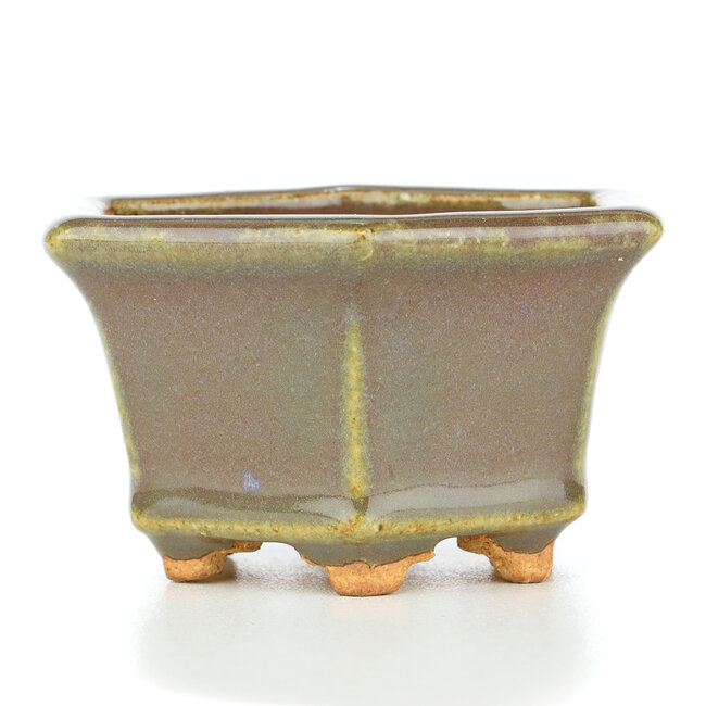 Pot à bonsaï hexagonal beige verdâtre de Hattori - 91 x 81 x 50 mm