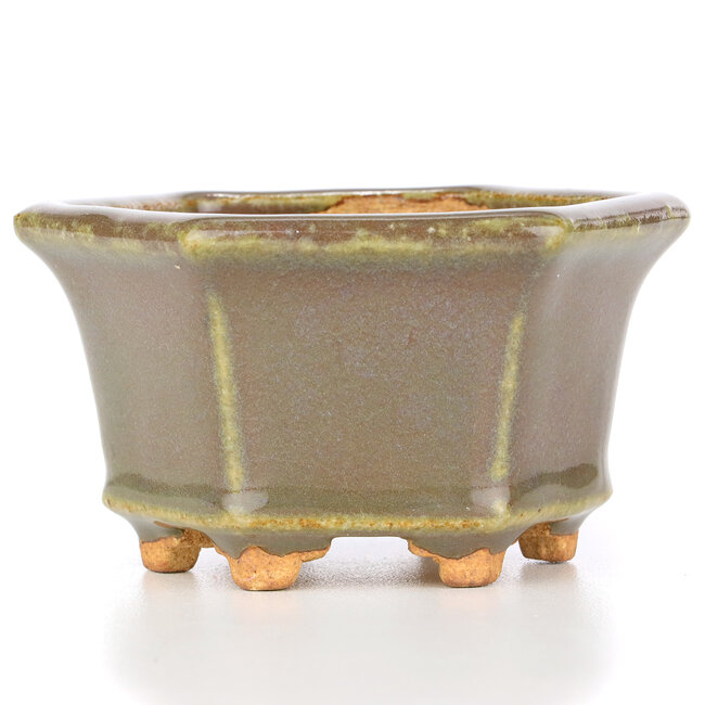 Vaso bonsai esagonale beige verdastro di Hattori - 91 x 81 x 50 mm