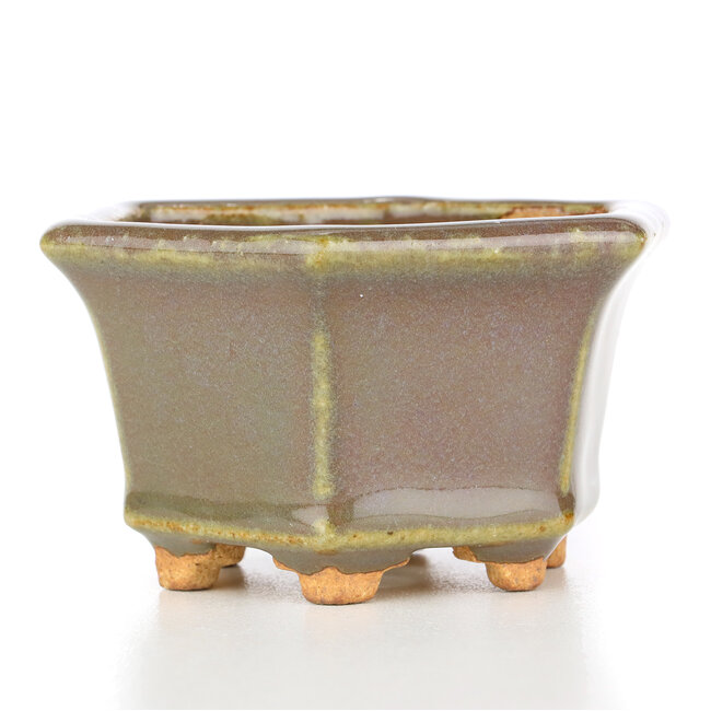 Hexagonal greenish beige bonsai pot by Hattori - 91 x 81 x 50 mm