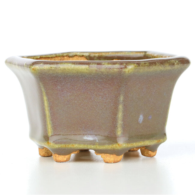 Pot à bonsaï hexagonal beige verdâtre de Hattori - 91 x 81 x 50 mm
