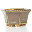 Maceta de bonsái púrpura hexagonal de Hattori - 91 x 81 x 50 mm