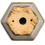 Maceta hexagonal para bonsái de color beige verdoso de Hattori - 91 x 81 x 50 mm