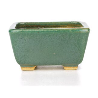 Hattori Tomoyuki 92 mm square green bonsai pot by Hattori, Tokoname, Japan