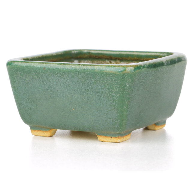 Vaso per bonsai quadrato verde di Hattori - 92 x 94 x 51 mm