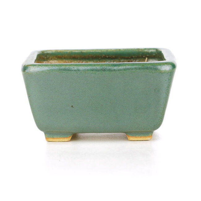 Square green bonsai pot by Hattori - 92 x 94 x 51 mm