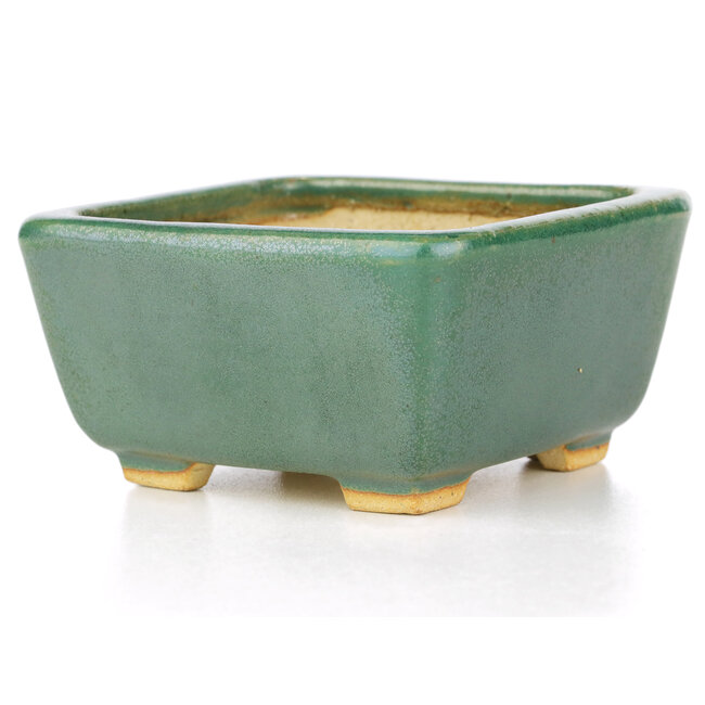 Maceta de bonsái cuadrada verde de Hattori - 92 x 94 x 51 mm