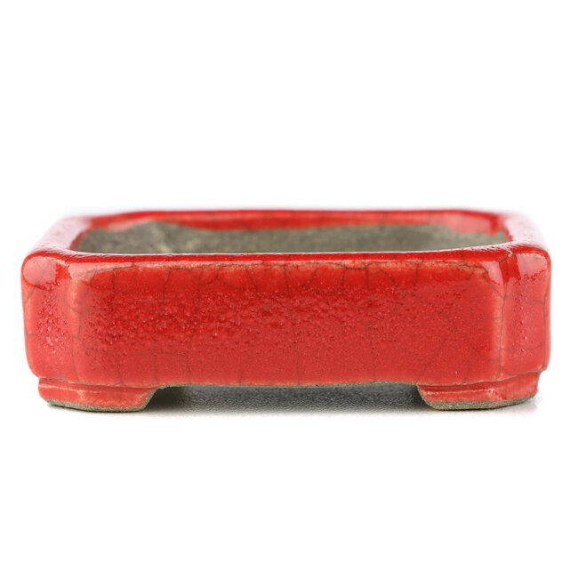 Pot à bonsaï rectangulaire rouge par Terahata Satomi Mazan - 70 x 57 x 20 mm