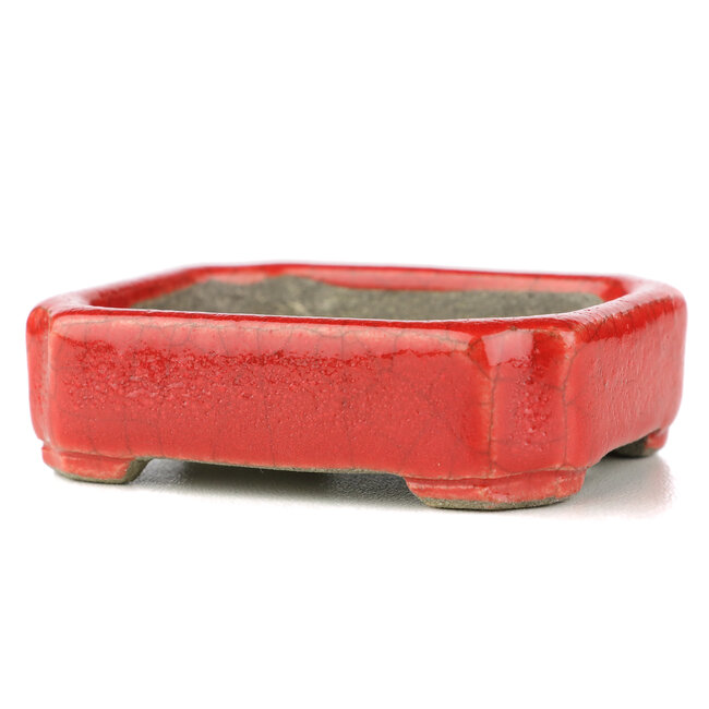 Pot à bonsaï rectangulaire rouge par Terahata Satomi Mazan - 70 x 57 x 20 mm