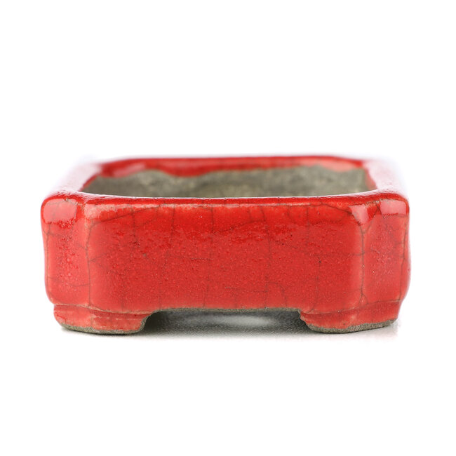 Maceta rectangular para bonsái roja de Terahata Satomi Mazan - 70 x 57 x 20 mm
