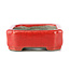 Rectangular red bonsai pot by Terahata Satomi Mazan - 70 x 57 x 20 mm