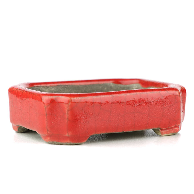 Maceta rectangular para bonsái roja de Terahata Satomi Mazan - 70 x 57 x 20 mm