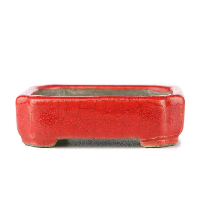 Vaso bonsai rettangolare rosso di Terahata Satomi Mazan - 70 x 57 x 20 mm