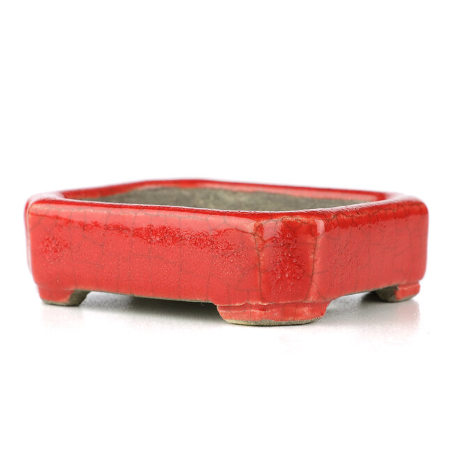 Pot à bonsaï rectangulaire rouge par Terahata Satomi Mazan - 70 x 57 x 20 mm