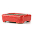 Pot à bonsaï rectangulaire rouge par Terahata Satomi Mazan - 70 x 57 x 20 mm