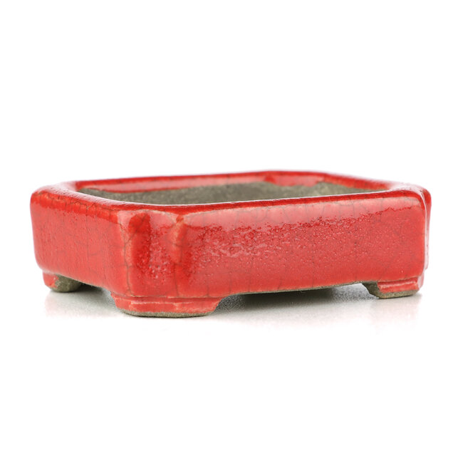 Maceta rectangular para bonsái roja de Terahata Satomi Mazan - 70 x 57 x 20 mm