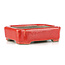 Pot à bonsaï rectangulaire rouge par Terahata Satomi Mazan - 70 x 57 x 20 mm
