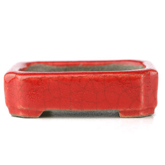  Satomi Mazan, Mazan Terahata 70 mm rectangular red bonsai pot by Terahata Satomi Mazan, Tokoname, Japan