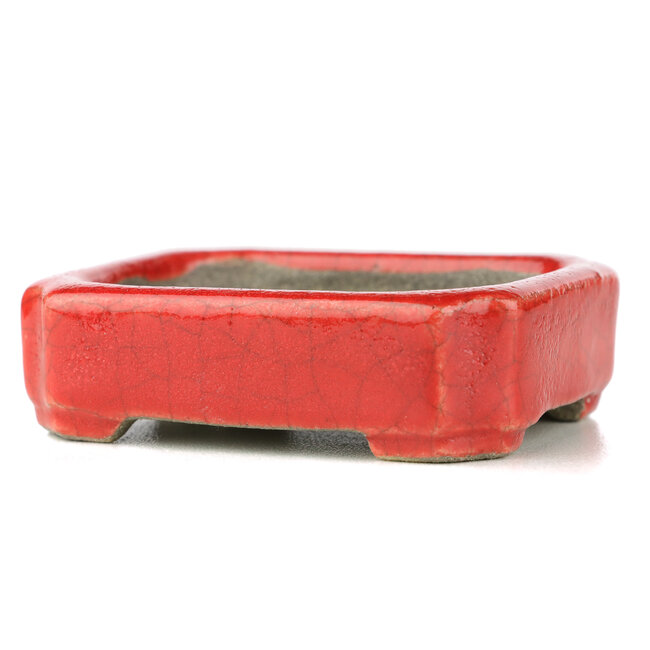 Rechteckige rote Bonsaischale von Terahata Satomi Mazan - 70 x 57 x 20 mm