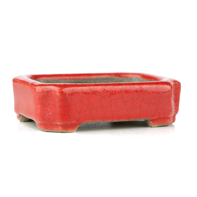 Rectangular red bonsai pot by Terahata Satomi Mazan - 70 x 57 x 20 mm