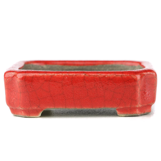 Rechthoekige rode bonsaipot van Terahata Satomi Mazan - 70 x 57 x 20 mm