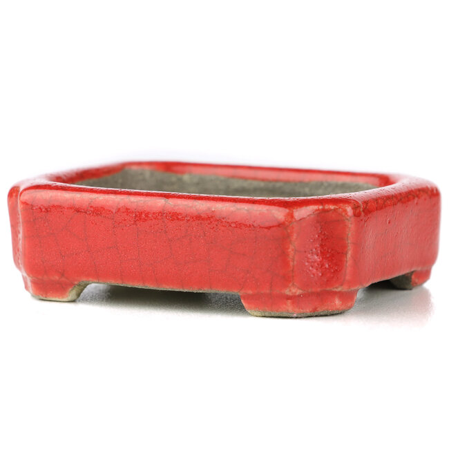 Pot à bonsaï rectangulaire rouge par Terahata Satomi Mazan - 70 x 57 x 20 mm