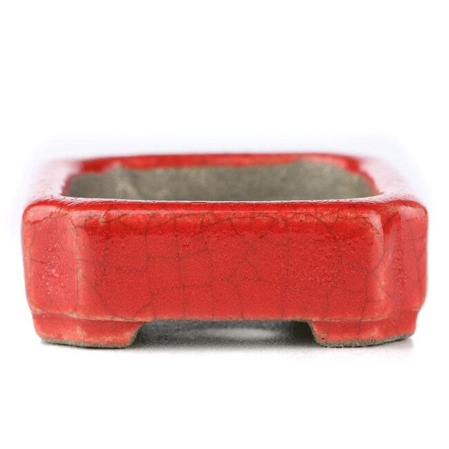 Rectangular red bonsai pot by Terahata Satomi Mazan - 70 x 57 x 20 mm