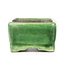 Maceta de bonsái verde rectangular de Terahata Satomi Mazan - 87 x 65 x 38 mm