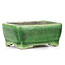 Rectangular green bonsai pot by Terahata Satomi Mazan - 87 x 65 x 38 mm