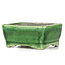 Rectangular green bonsai pot by Terahata Satomi Mazan - 87 x 65 x 38 mm