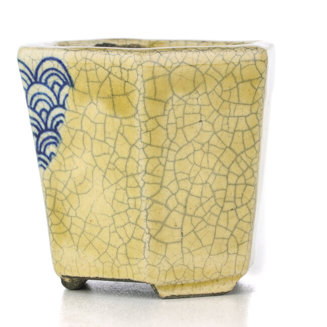 Maceta de bonsái beige hexagonal de Terahata Satomi Mazan - 73 x 65 x 66 mm