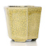 Maceta de bonsái beige hexagonal de Terahata Satomi Mazan - 73 x 65 x 66 mm