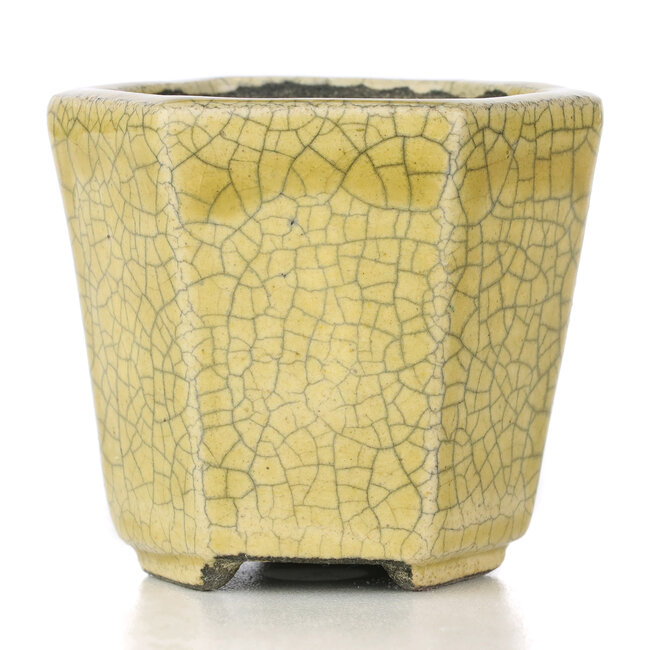 Vaso per bonsai esagonale beige di Terahata Satomi Mazan - 73 x 65 x 66 mm