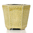 Maceta de bonsái beige hexagonal de Terahata Satomi Mazan - 73 x 65 x 66 mm