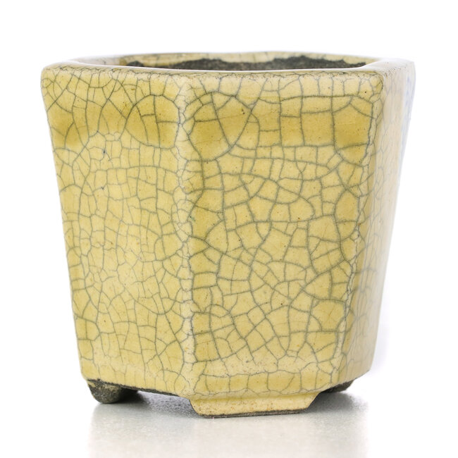 Hexagonal beige bonsai pot by Terahata Satomi Mazan - 73 x 65 x 66 mm