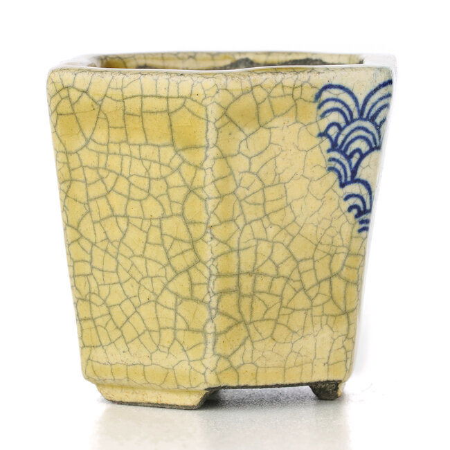 Maceta de bonsái beige hexagonal de Terahata Satomi Mazan - 73 x 65 x 66 mm