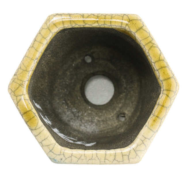 Maceta de bonsái beige hexagonal de Terahata Satomi Mazan - 73 x 65 x 66 mm