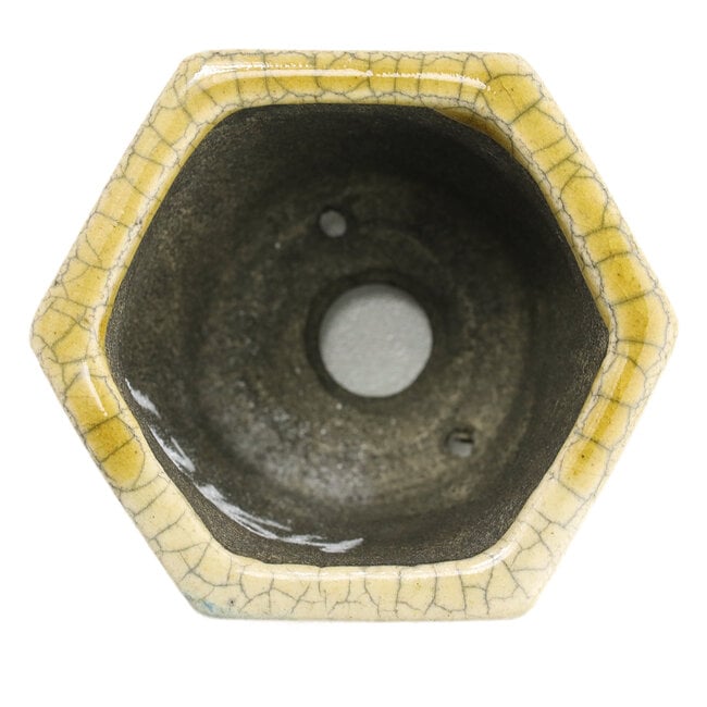 Sechseckige beige Bonsaischale von Terahata Satomi Mazan - 73 x 65 x 66 mm