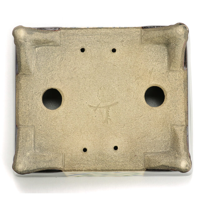 Maceta de bonsái marrón rectangular de Terahata Satomi Mazan - 155 x 130 x 55 mm