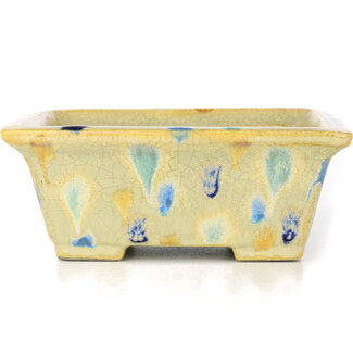  Satomi Mazan, Mazan Terahata Pot à bonsaï beige rectangulaire 157 mm par Terahata Satomi Mazan, Tokoname, Japon