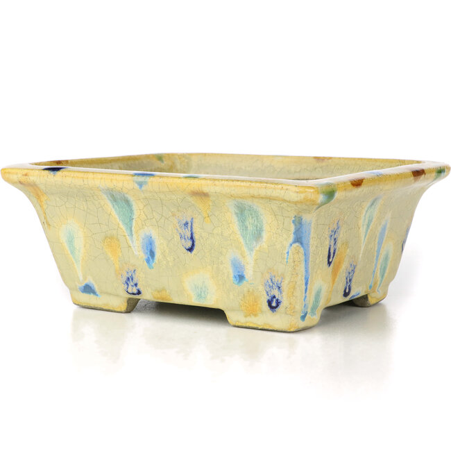 Vaso per bonsai rettangolare beige di Terahata Satomi Mazan - 157 x 140 x 65 mm