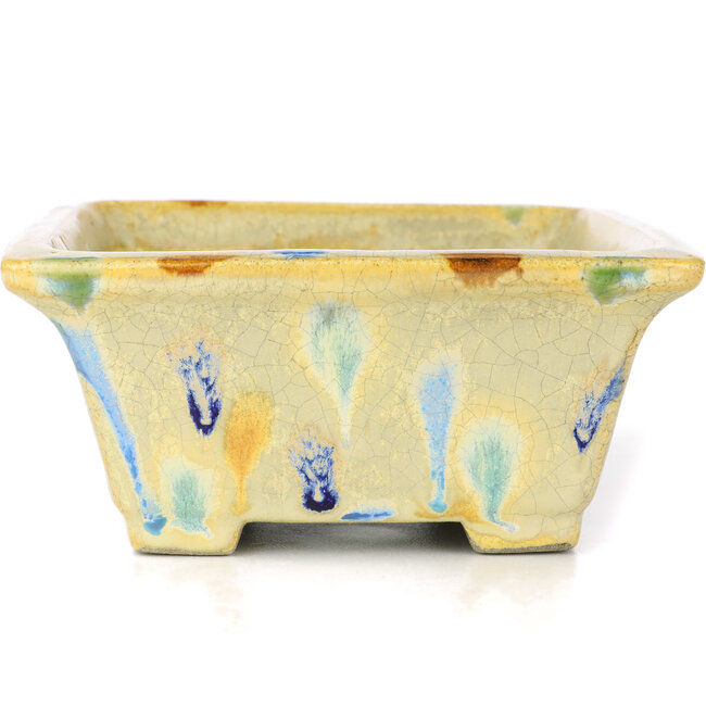 Maceta de bonsái rectangular beige de Terahata Satomi Mazan - 157 x 140 x 65 mm