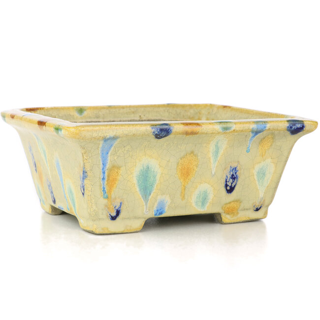 Maceta de bonsái rectangular beige de Terahata Satomi Mazan - 157 x 140 x 65 mm