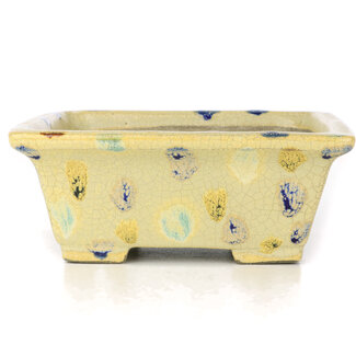  Satomi Mazan, Mazan Terahata Pot à bonsaï beige rectangulaire 159 mm par Terahata Satomi Mazan, Tokoname, Japon