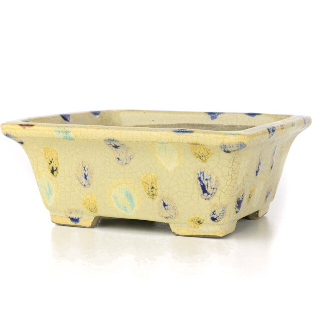 Rechthoekige beige bonsaipot van Terahata Satomi Mazan - 159 x 143 x 68 mm