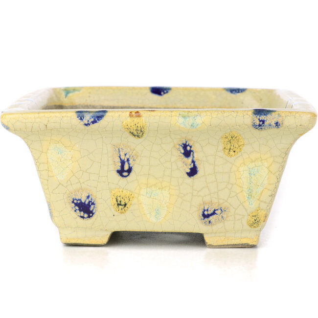 Rechteckige beige Bonsaischale von Terahata Satomi Mazan - 159 x 143 x 68 mm