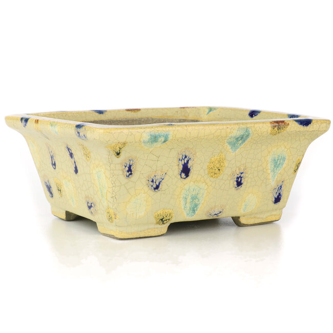 Pot à bonsaï rectangulaire beige par Terahata Satomi Mazan - 159 x 143 x 68 mm