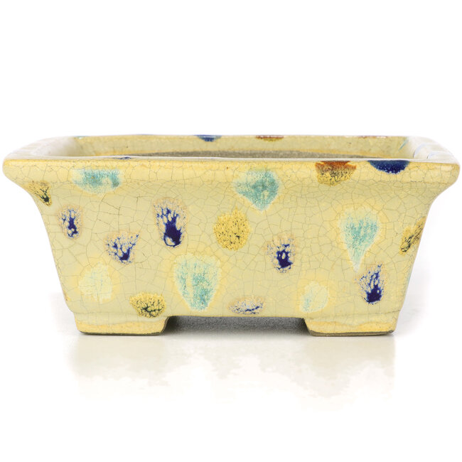 Rectangular beige bonsai pot by Terahata Satomi Mazan - 159 x 143 x 68 mm