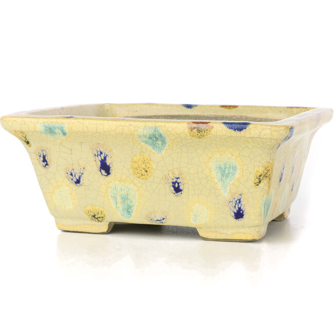 Pot à bonsaï rectangulaire beige par Terahata Satomi Mazan - 159 x 143 x 68 mm