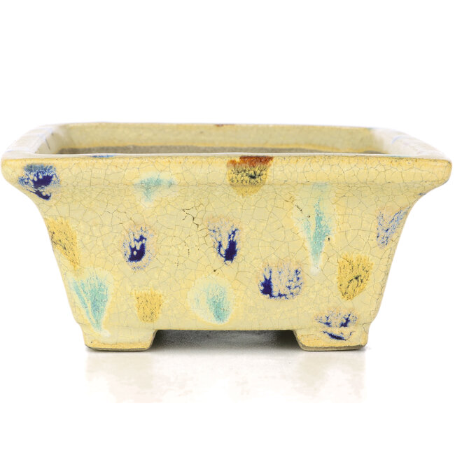 Rechteckige beige Bonsaischale von Terahata Satomi Mazan - 159 x 143 x 68 mm