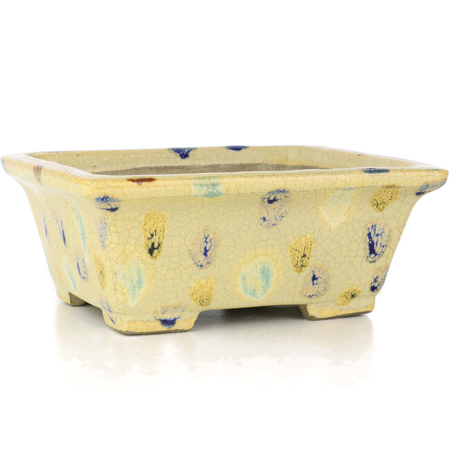 Vaso per bonsai rettangolare beige di Terahata Satomi Mazan - 159 x 143 x 68 mm